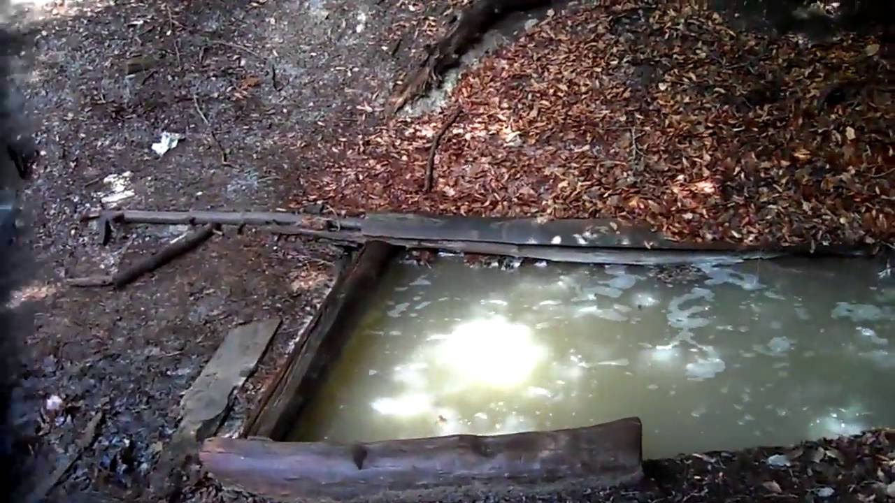 Hammas-fürdõ, láp: